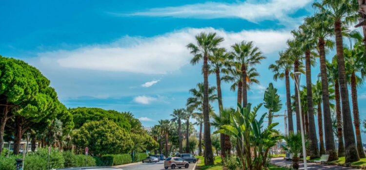 L’alternative écologique au taxi entre Nice et Cannes L’alternative écologique au taxi entre Nice et Cannes